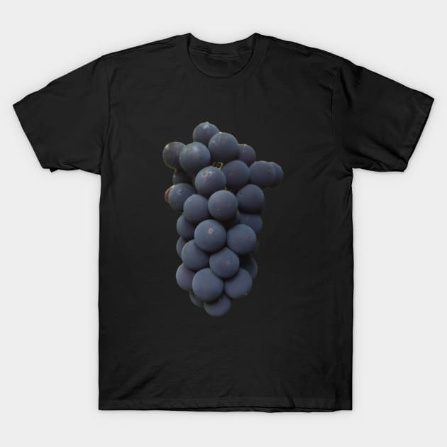 Fruits T-Shirt by bobby t-shirt